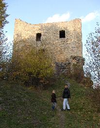 Burgruine in Zell