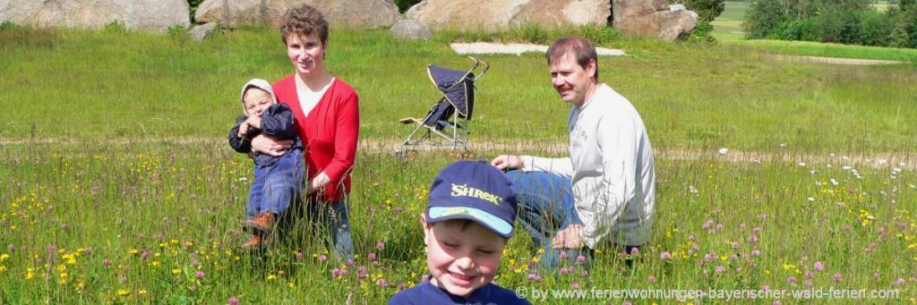 Familienausflugsziele im Bayerischen Wald Planung Ausflugsziele und Unterkunft