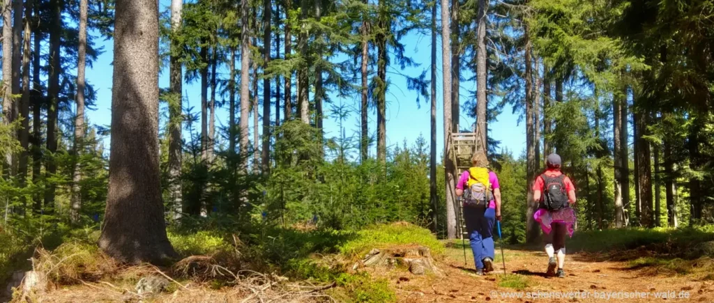 Wandern im Campingurlaub in Europa Freizeit am Campingplatz